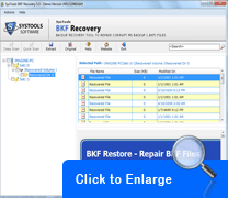 Click to view Restore BKF File 5.4 screenshot
