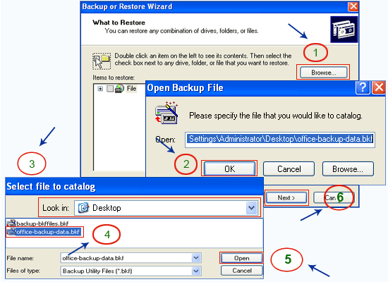 restore backup file